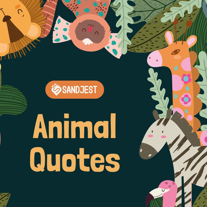 70+ Animal Quotes To Inspiration, Love, and Humor