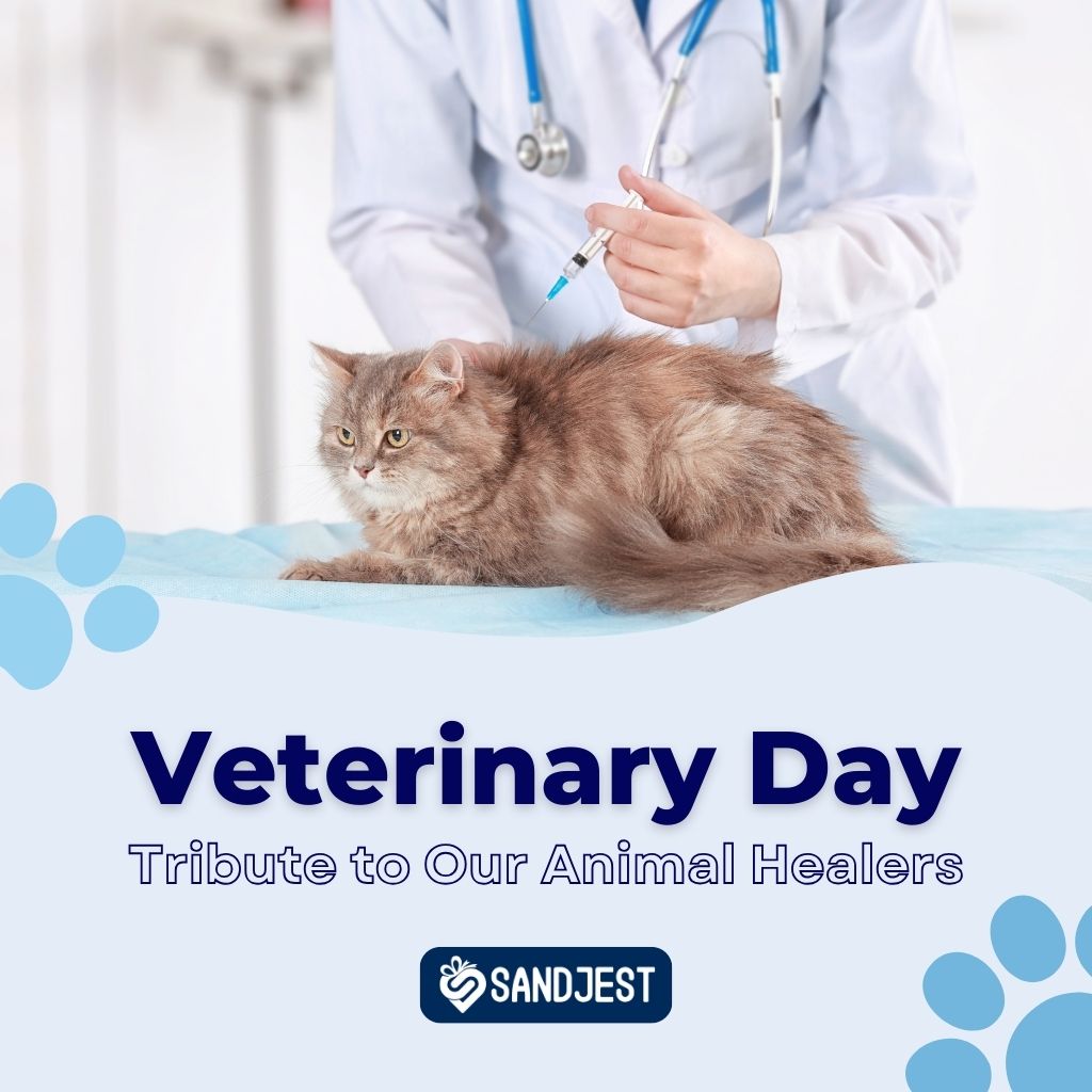 Celebrate Veterinary Day with a heartfelt tribute to our animal healers.