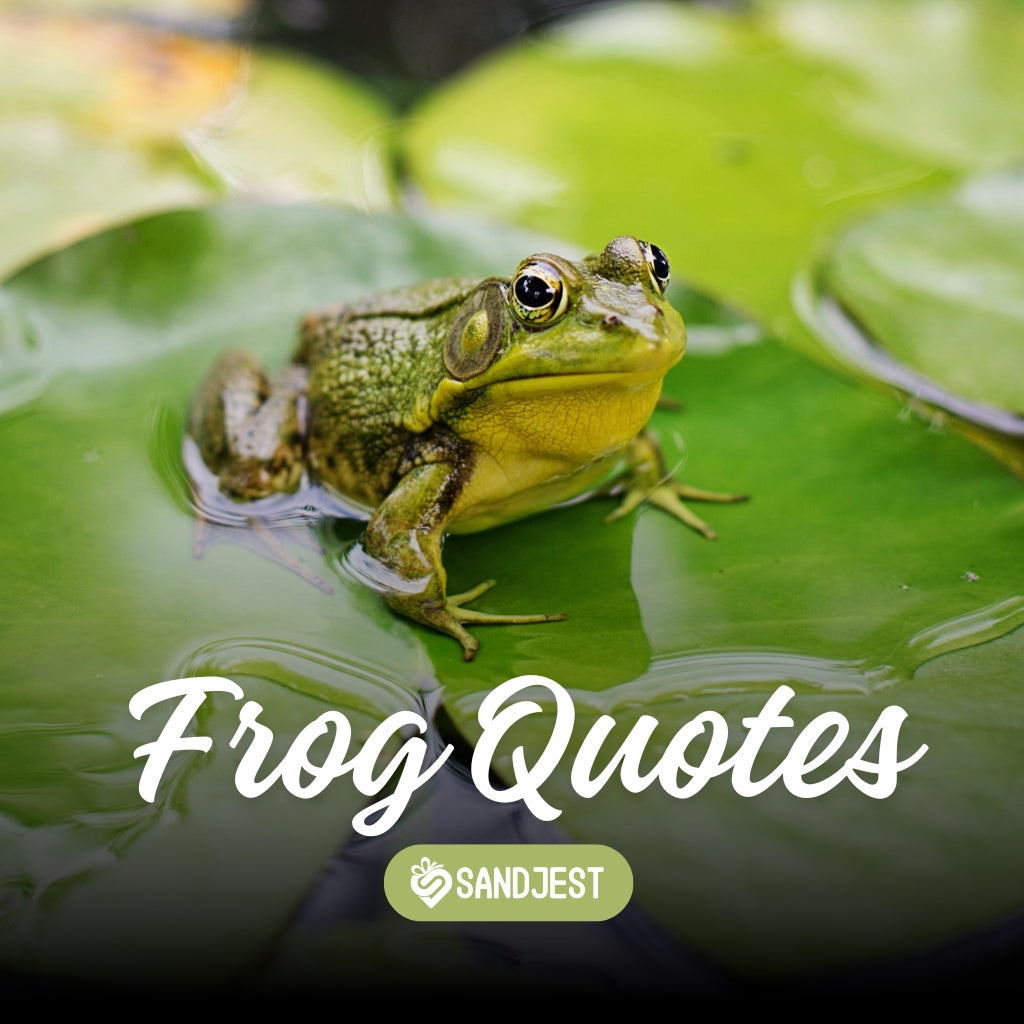 Dive into a collection of frog quotes, including funny and inspirational sayings