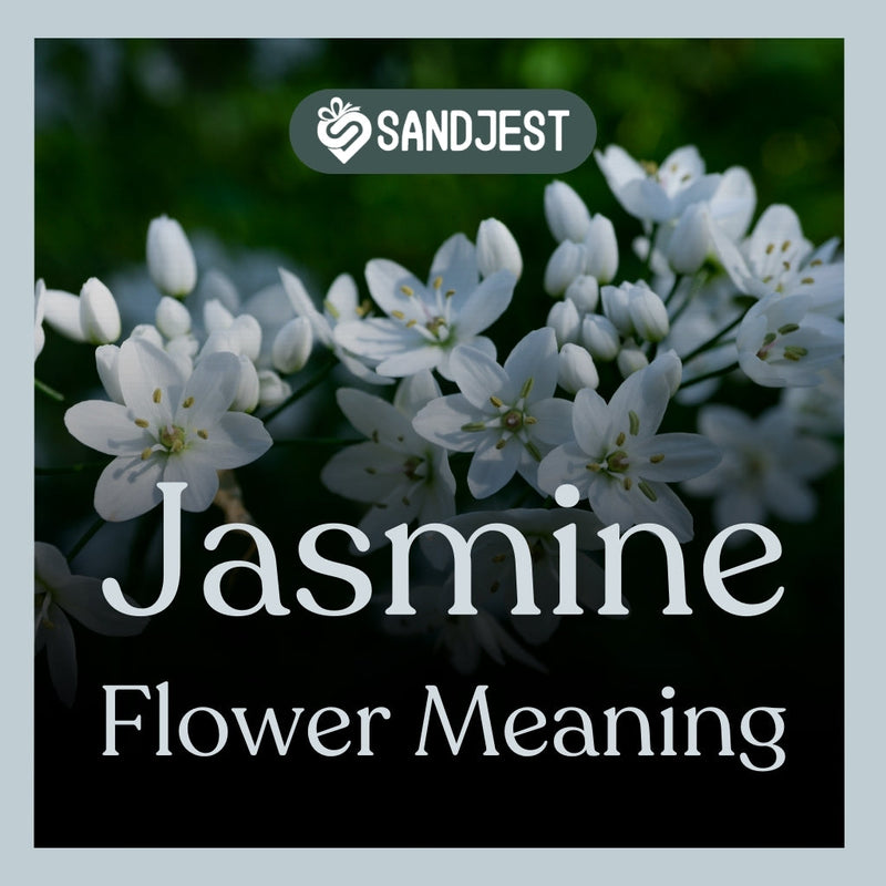 The meaning of the jasmine flower in white symbolizes purity and spiritual peace.