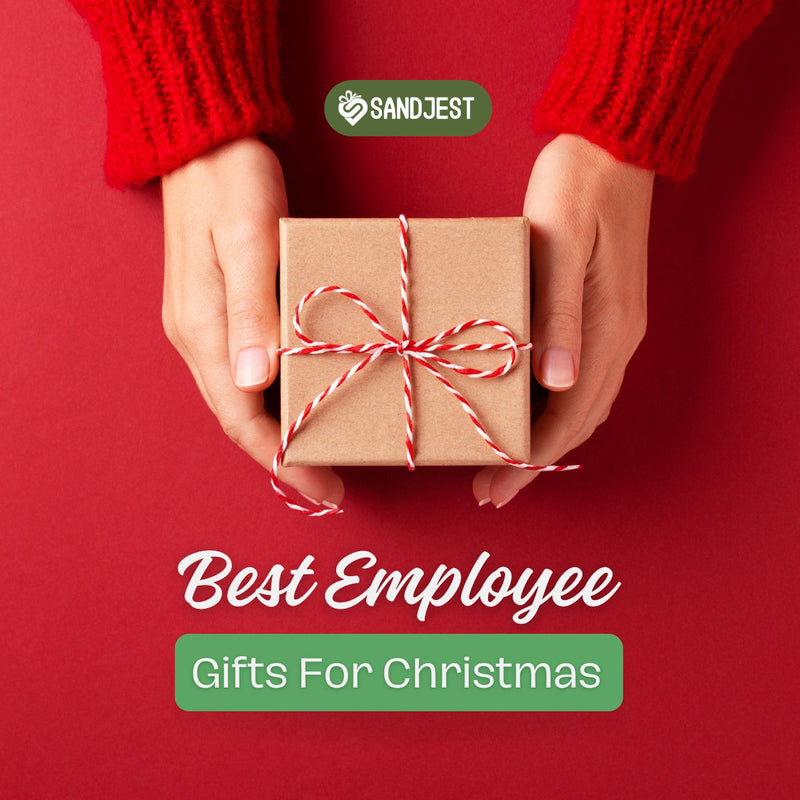 Hands holding a neatly wrapped Christmas gift with a festive ribbon - Best Employee Gifts for Christmas