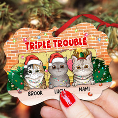 Double Trouble Personalized Ornament For Cat Lover