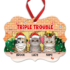 Double Trouble Personalized Ornament For Cat Lover