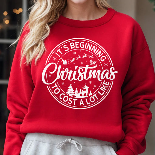 Sandjest It's Beginning To Cost A Lot Like Christmas Sweatshirt, Christmas Santa Shirt, Funny Christmas Holiday Tee, Christmas Celebration Gift