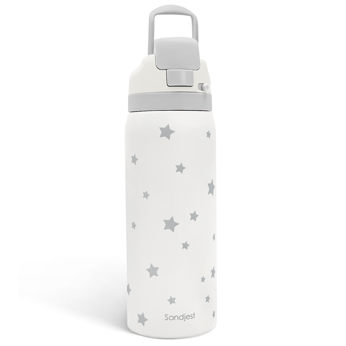 Grey Star VividPop | Push-button Lid Water Bottle 32oz