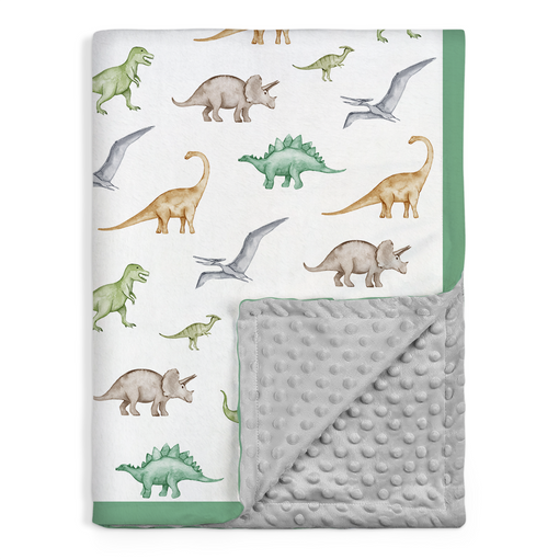 Dinosaurs Blanket for Boys - 30 x 40 Fleece Baby Blankets Gift for Newborn Toddler Infant Baby Shower Birthday