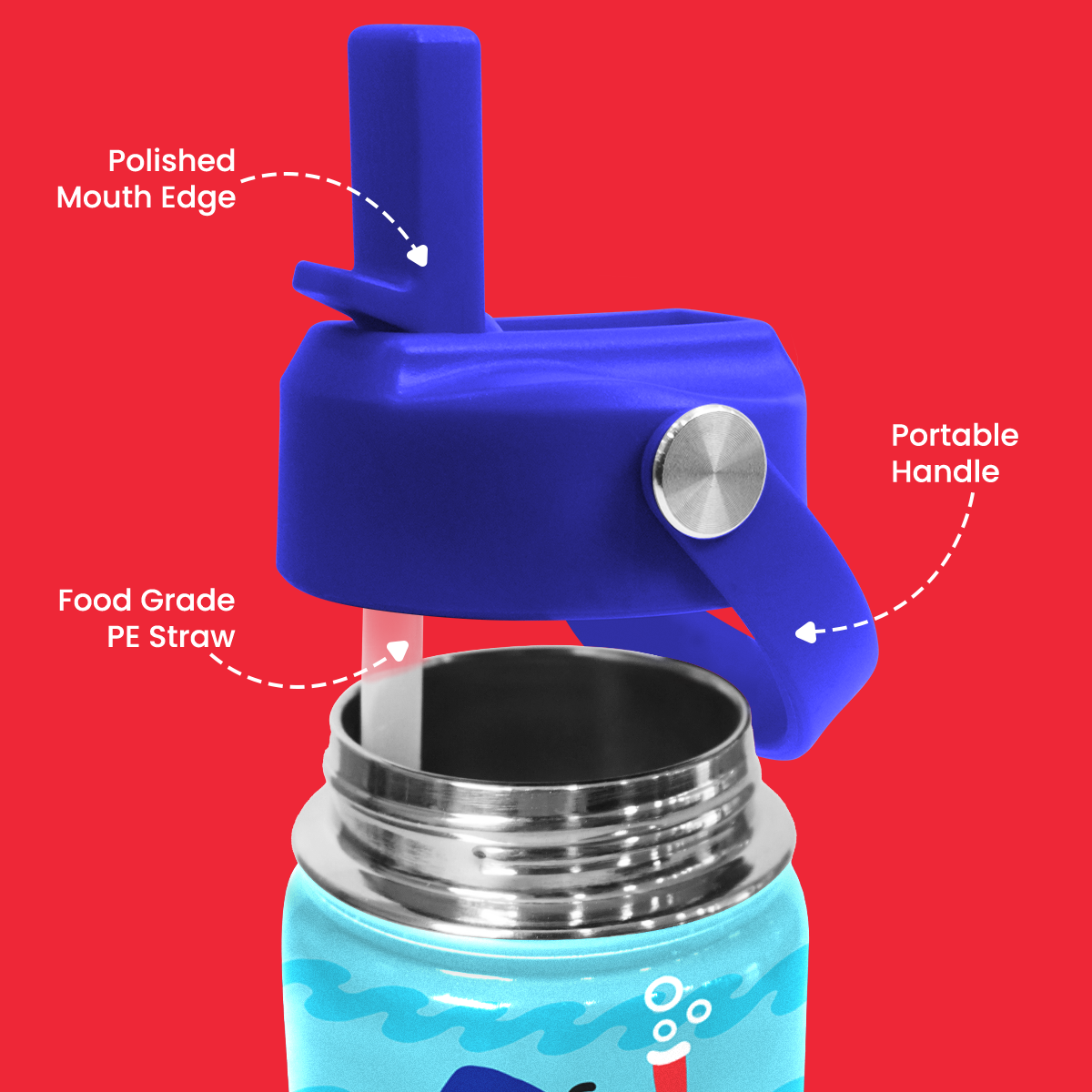 Blue Shark SipKid | Kids Stainless Steel Straw Lid Water Bottle 12oz