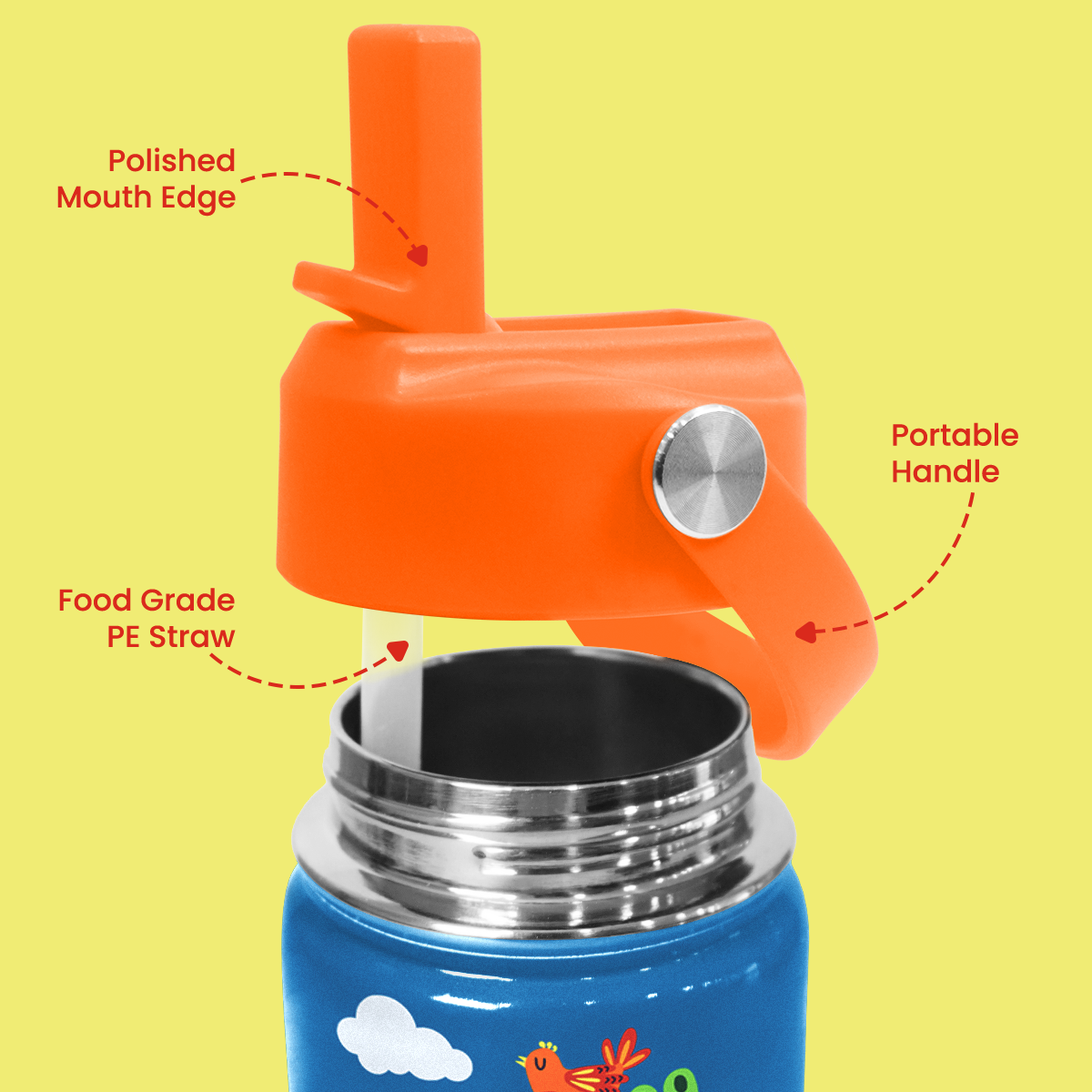 Blue Crocodile SipKid | Kids Stainless Steel Straw Lid Water Bottle 12oz