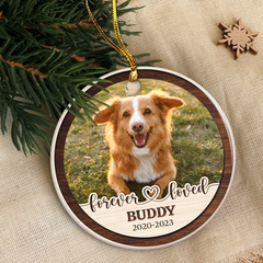 Personalized Pet Memorial Ornaments - If Love Could Have Saved You Christmas Double Sided Ceramic Ornament with Photo Picture - Sympathy Remembrance Keepsake Gifts for Loss of Dogs Cats Pets