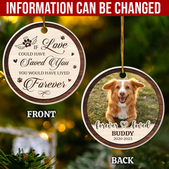 Personalized Pet Memorial Ornaments - If Love Could Have Saved You Christmas Double Sided Ceramic Ornament with Photo Picture - Sympathy Remembrance Keepsake Gifts for Loss of Dogs Cats Pets