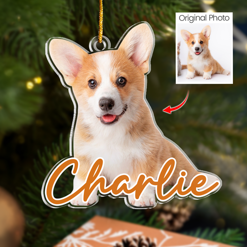 Personalized Dog Cat Photo Ornament - Customized Pet Photo Shaped Acrylic Ornaments, Acrylic Dog Cat Ornaments for Christmas Tree, Gift for Pet Lovers