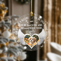 Personalized Pet Memorial Acrylic Ornament Love You Beyond Words