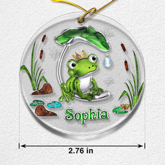 Personalized Acrylic Frog Ornament Jewelry Style