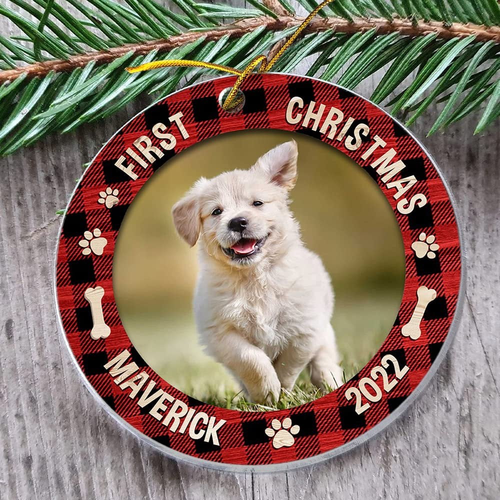 Personalized Acrylic Ornament Dog Ornament First Christmas