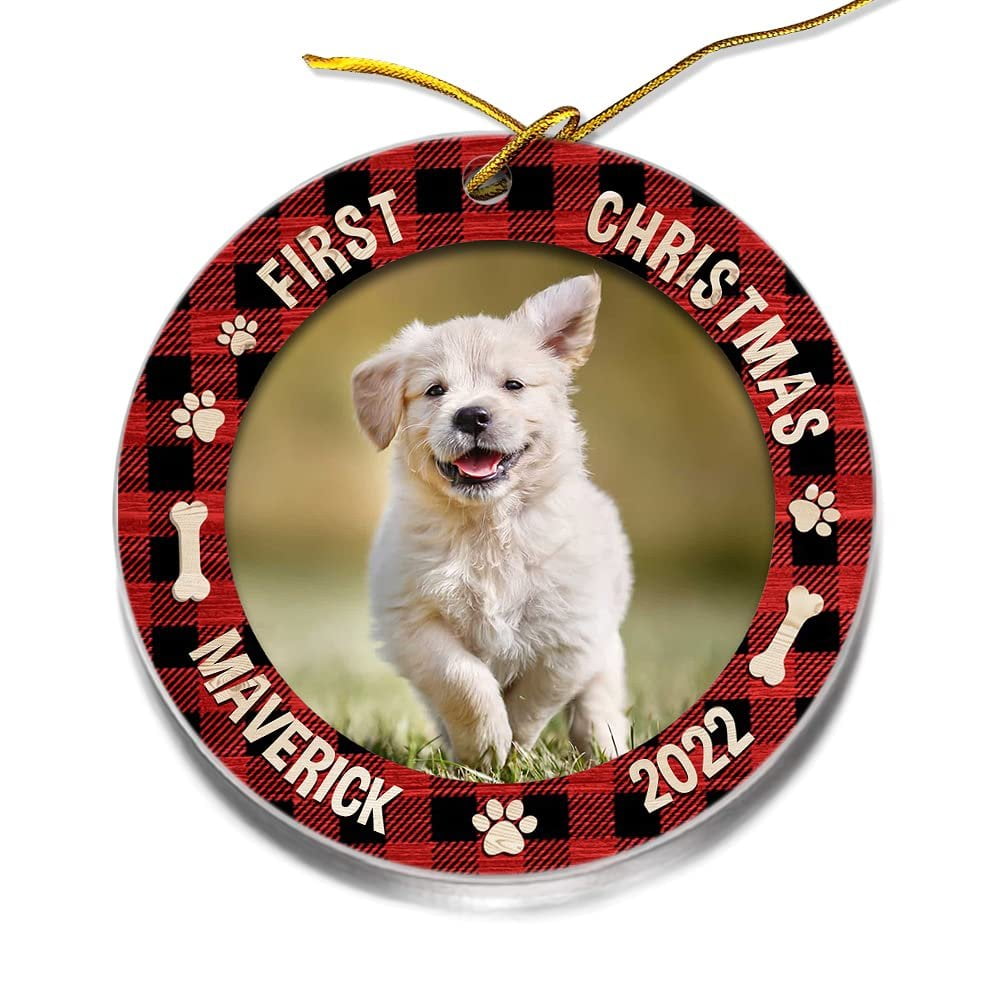 Personalized Acrylic Ornament Dog Ornament First Christmas