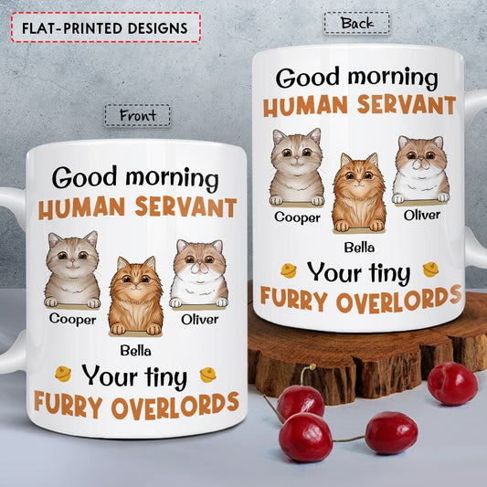 Personalized Cute Cats Mug for Cat Lovers Human Servant