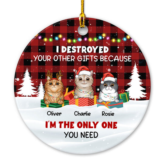 We Are The Only Gift You Need Personalized Ornament For Cat Lover