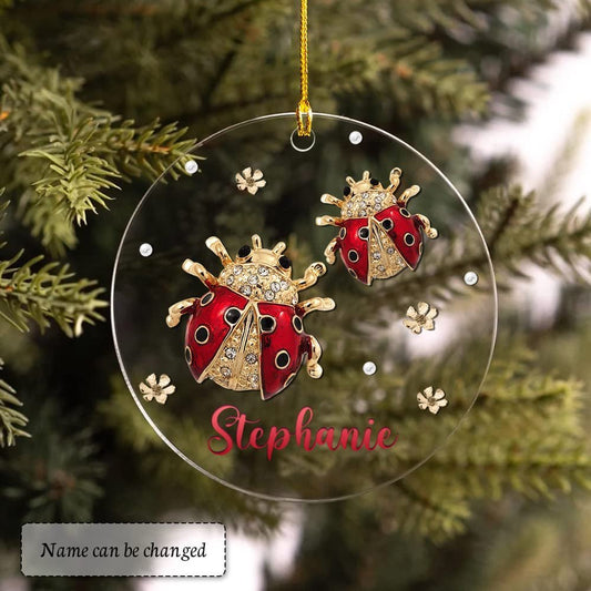 Personalized Acrylic Ladybugs Ornament Jewelry Drawing