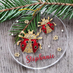 Personalized Acrylic Ladybugs Ornament Jewelry Drawing