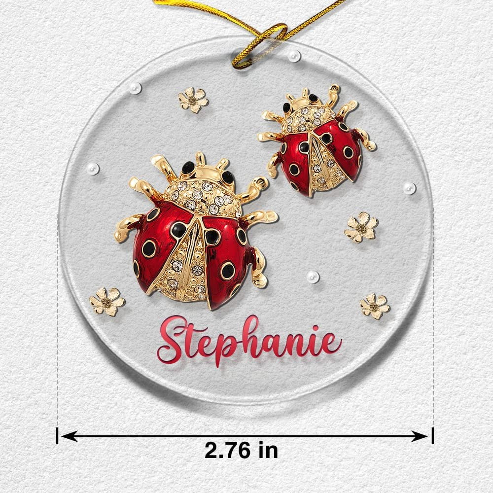 Personalized Acrylic Ladybugs Ornament Jewelry Drawing