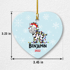Personalized Zebra Baby Boy Ornament Christmas Gift